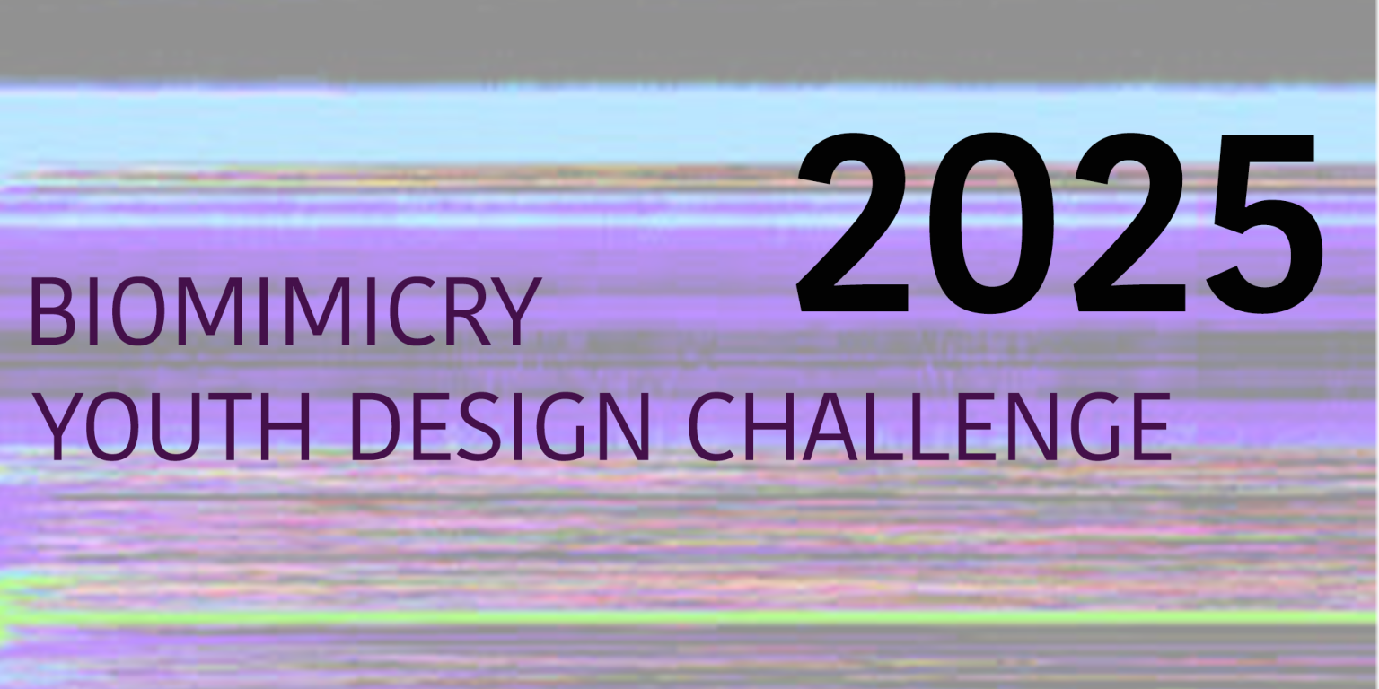 logo for Biomimicry Youth Design Challenge 2025